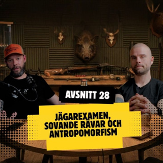 Avsnitt 28 Säsong 7