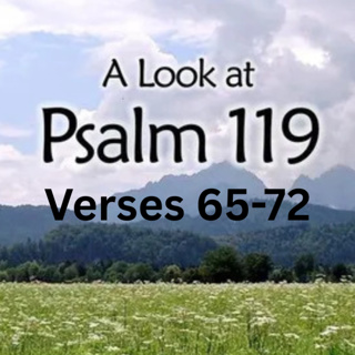 Psalm 119:65-72