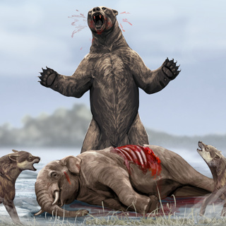 Ice Age America Was Basically Africa On Steroids