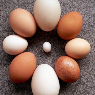 Our Podcast comes in all shapes and sizes