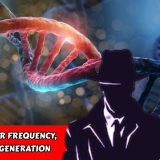 Path to Ascension, Higher Frequency, Awareness, Health & Regeneration | Tim Kelly