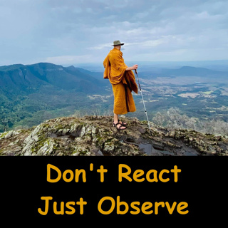 Knowing, Not Interfering | Insight through Awareness | Vipassana | Ajahn Dhammasiha