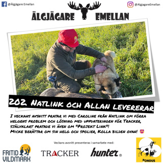 202. Natlink & Allan levererar