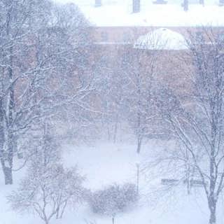Snöfall eller snöande?