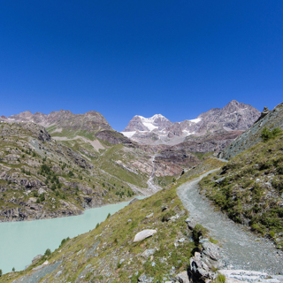 #15 — Questions Along the Path