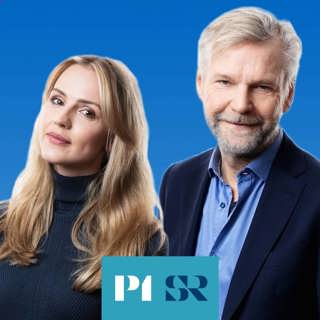 Politiska experterna analyserar slutdebatten
