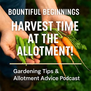 🎧 Bountiful Beginnings: Harvest Time at the Allotment! | Gardening Tips & Allotment Advice Podcast