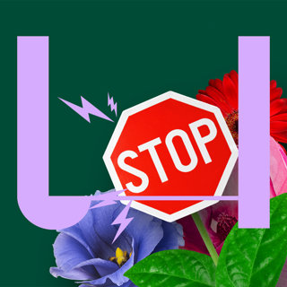527. Hoe zorgen kleine bloemen ervoor dat de dijk niet breekt?