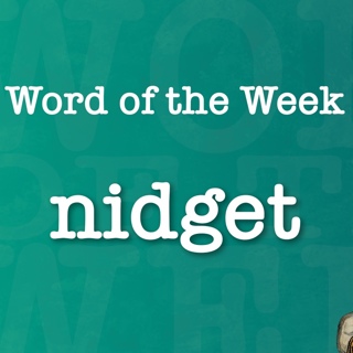 Time Machine Word of the Week: Nidget!
