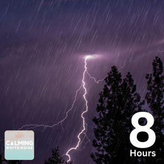 Forest Rain & Thunderstorm Sounds (8 Hours) | Natural Sleep Sounds & White Noise for Sleeping