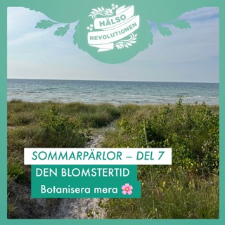 SOMMARPÄRLOR: DEL 7 – DEN BLOMSTERTID 🌸 Botanisera mera!