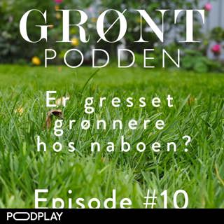 #10 Er gresset grønnere hos naboen?