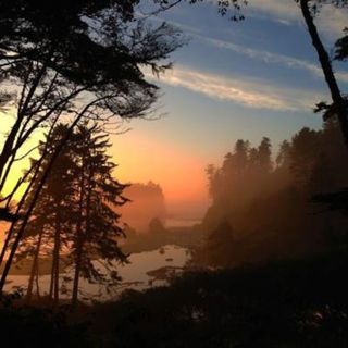 Gentle Crickets in Washington State - 10 Hours Sleep Sound
