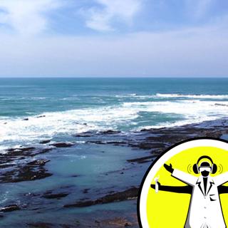 The Year in Ocean Science