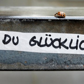 Glück up your life! - Fünf Glücksratgeber im Crashtest