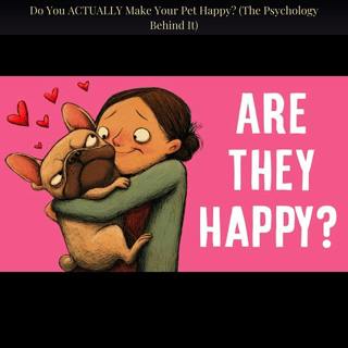 Do You ACTUALLY Make Your Pet Happy? (The Psychology Behind It)