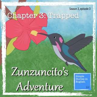 Zunzuncito's Adventure Chapter 3