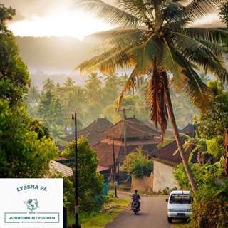 30. Bali - om risfält, andar och resefotografering.