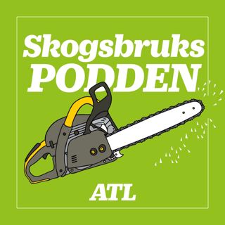 Skogsbrukspodden: Viltskydd börjar redan vid föryngringen