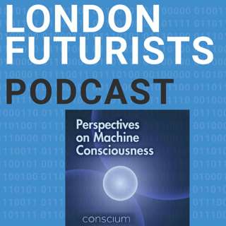 LFP 137: Perspectives on Machine Consciousness