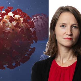 Tennisstjärnor och zoomkatter – pandemins oförutsägbarheter: Sara Heyman, Stockholm