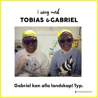 272. Gabriel kan alla landskap! Typ.