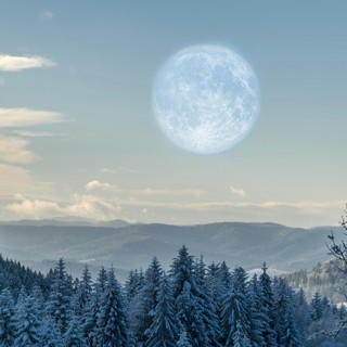 Snow Moon ~ Calming Sleep & Relaxation Music with Nature Soundscapes and Koshi Chimes