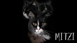 Saying Goodbye To Mitzi.
