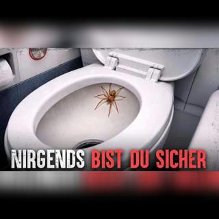 Wie überlebt man tödliche Spinnenangriffe?