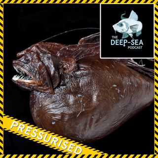 PRESSURISED: 069 – The Anglerfish Files