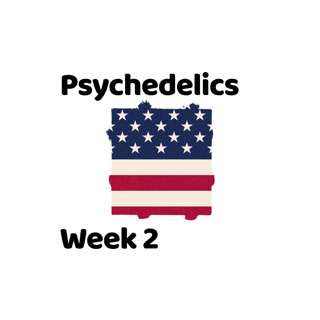 Psychedelics Week 2