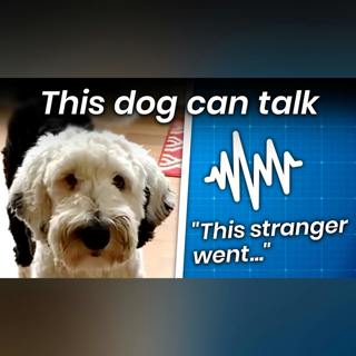 The Dog Who Learned to Form 5-Word Long Sentences