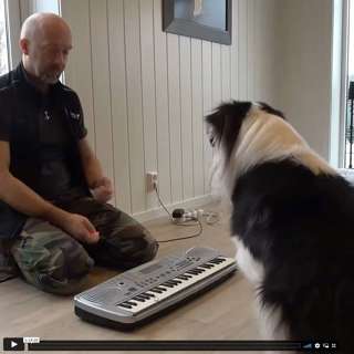 Har du god nok timing?