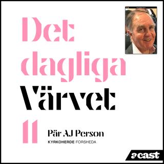 DET DAGLIGA VÄRVET #11 Pär AJ Person