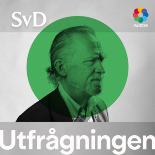 SvD Utfrågningen: Daniel Helldén