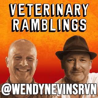 Ep 63: The Life And Times Of Wendy Nevins RVN