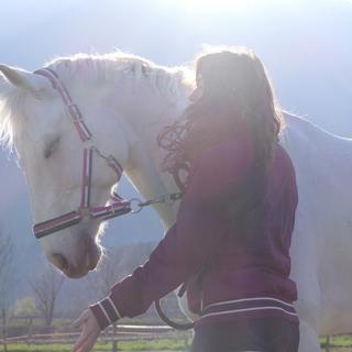 A Horse's Fears