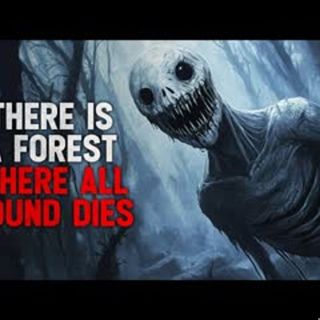 "There is a forest where all sounds stop" Creepypasta