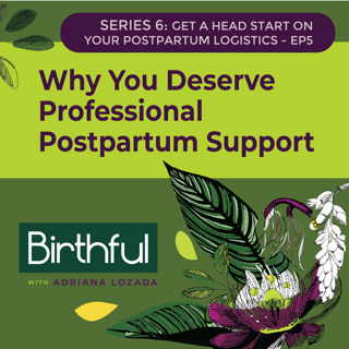 Why You Deserve Professional Postpartum Support (And How to Afford It!), with Kaitlin McGreyes