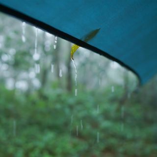 Windy Forest Tent Rain: Camping ASMR - 10 Hours Sleep Sound