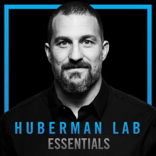 Essentials: The Science of Learning & Speaking Languages | Dr. Eddie Chang