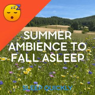 😴🍂 Summer CRICKETS Sound Against STRESS