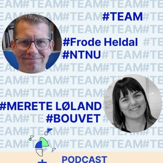 #TEAM i praksis med NTNU-professor Frode Heldal