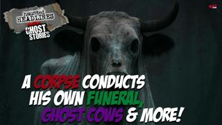 A Corpse Conducts His Own Funeral, Ghost Cows, & More! Feat: Crystal Quin