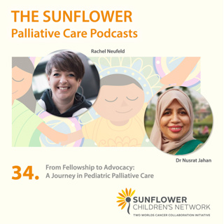 34. From Fellowship to Advocacy: A Journey in Pediatric Palliative Care