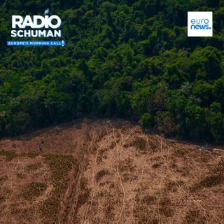 Why has the EU deforestation law become so politicised and what is the role that Germany is playing on it?