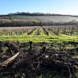 EU and Mercosur Finalize Trade Deal, France Takes Urgent Climate Action, French Soils Face Microplastic Crisis, Russia's Military Budget Sparks Aggression, and more...