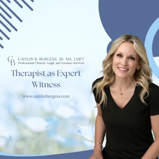 The Therapist as an Expert Witness: What Parents and Attorneys Should Understand
