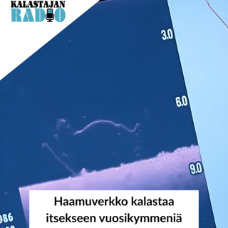 Haamuverkko kalastaa itsekseen vuosikymmeniä