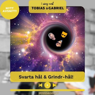 314. Svarta hål & Grindr-hål!